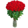 cache/resized/2e8de72fee2f1dd774ad4b3a53f5e406.jpg