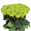 cache/resized/453d997bd8188b43bc60db37ff2aa661.jpg