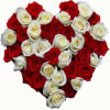 cache/resized/d9f8bbb4fd3152cfe701c3745add73f3.jpg