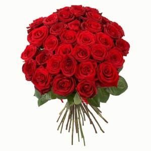 Rudé růže Red Naomi za 69,-